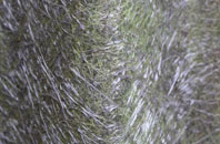 Upper Bentley fibreglass roof work